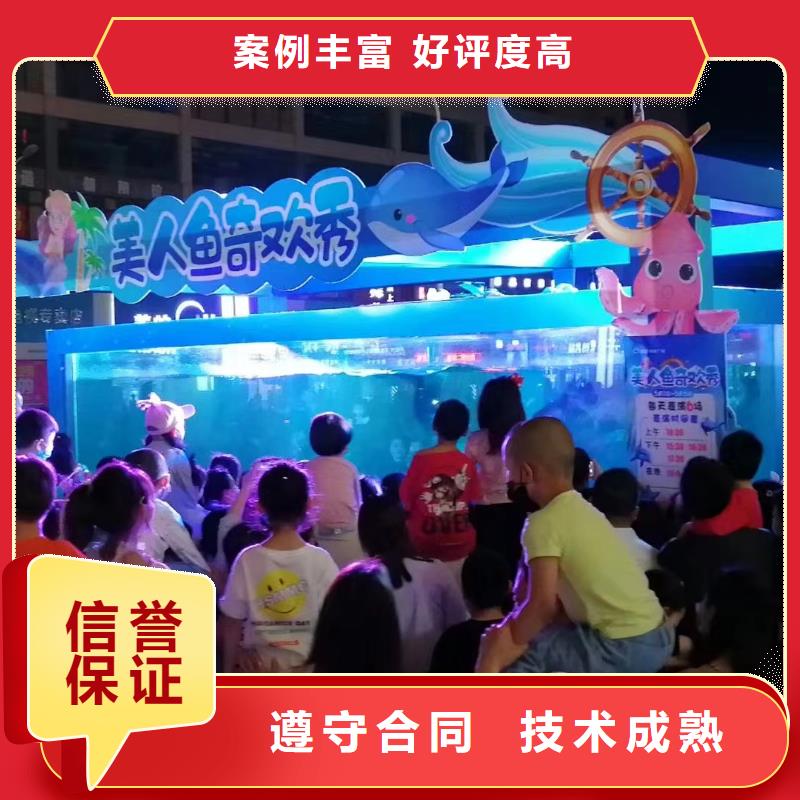 海洋主题动物表演,驯兽表演实力团队