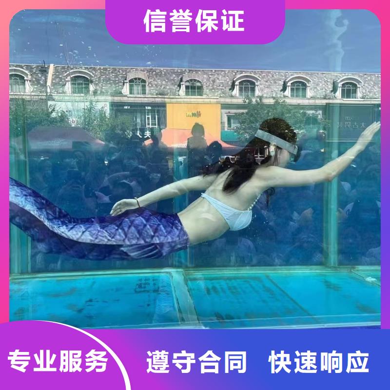 海洋主题动物表演吉祥百鸟展解决方案
