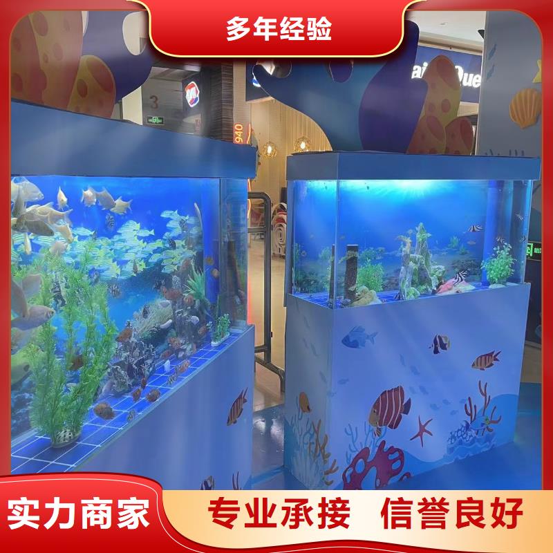 海洋主题动物表演马戏团表演口碑商家