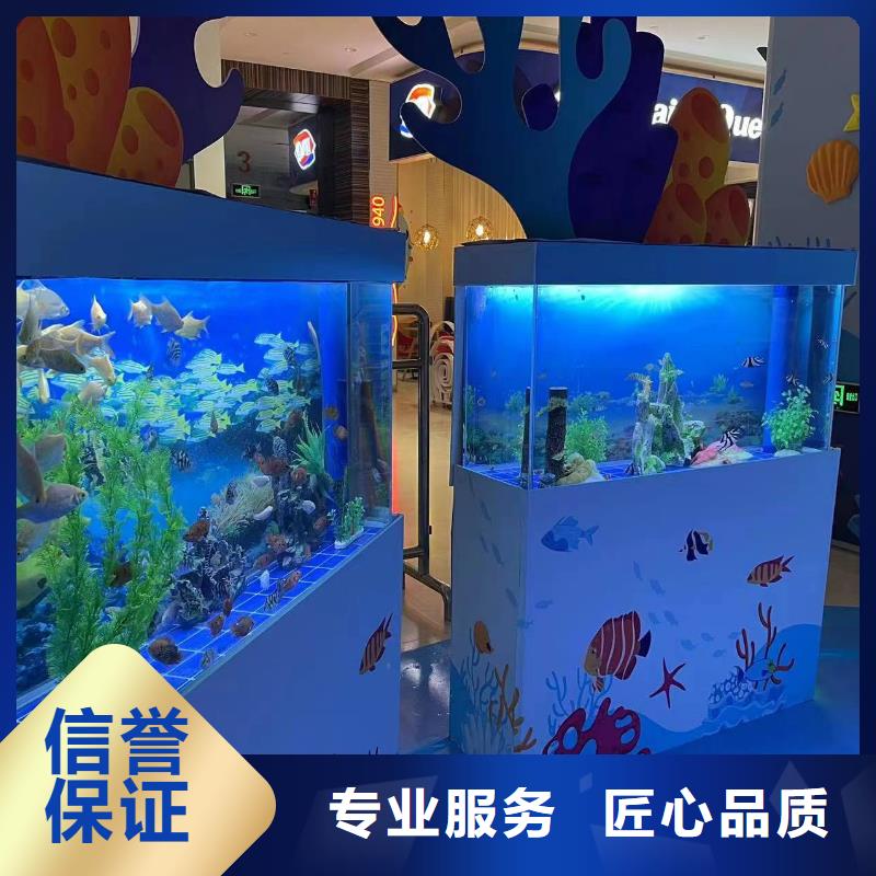 海洋主题动物表演观赏性羊驼租赁免费咨询