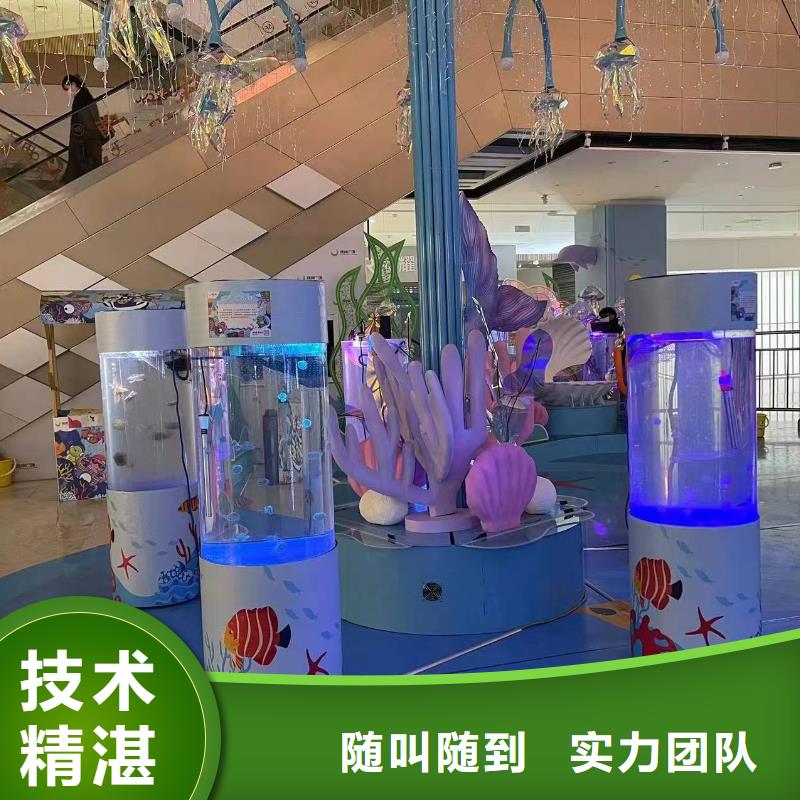 海洋主题动物表演 马戏团表演好评度高