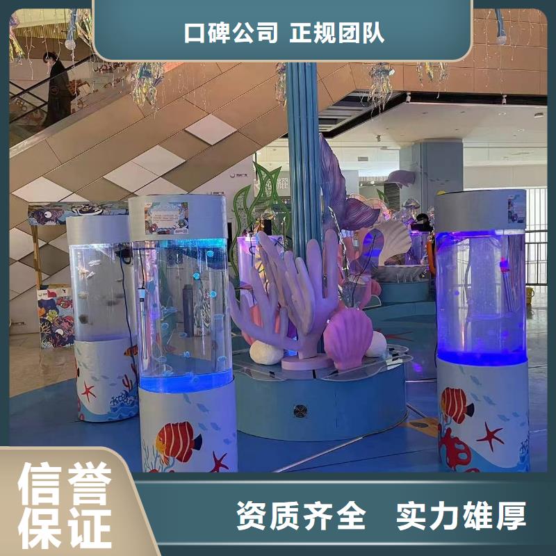海洋主题动物表演【海狮杂技表演】省钱省时