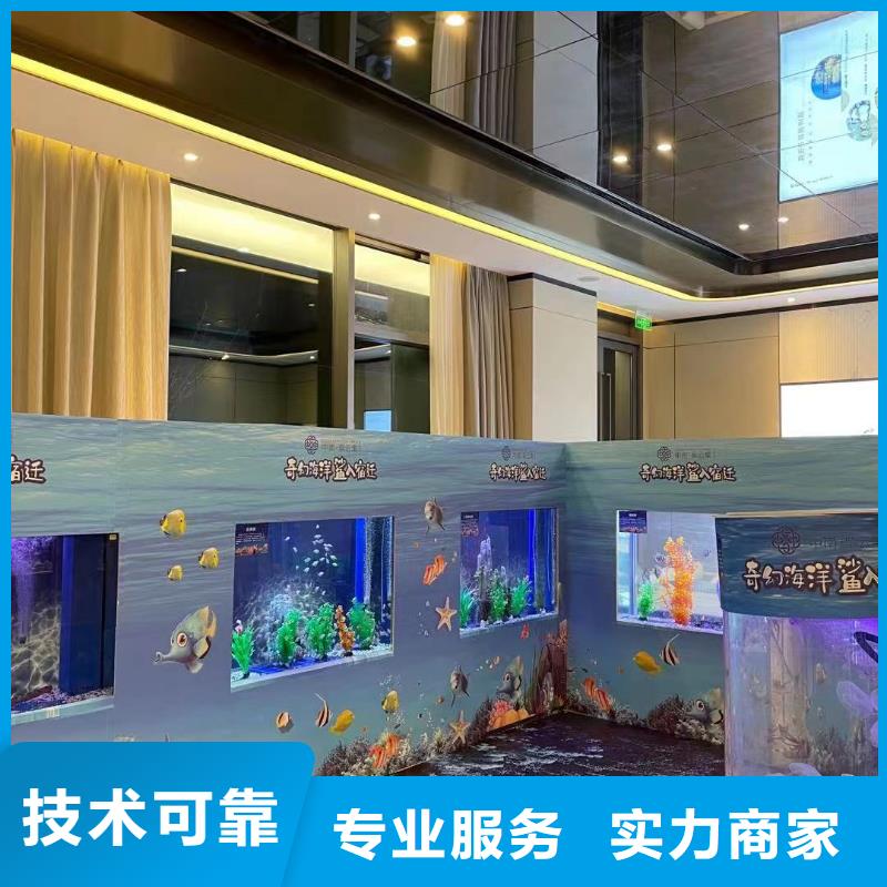 海洋主题动物表演萌宠动物展出租经验丰富