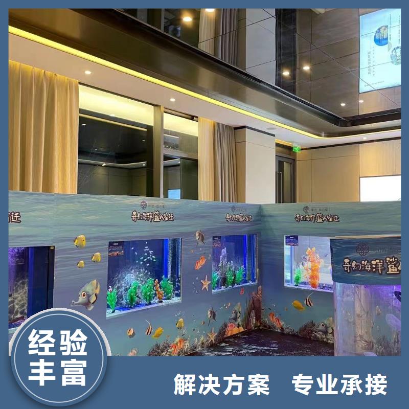 海洋主题动物表演小香猪宠物出租信誉良好