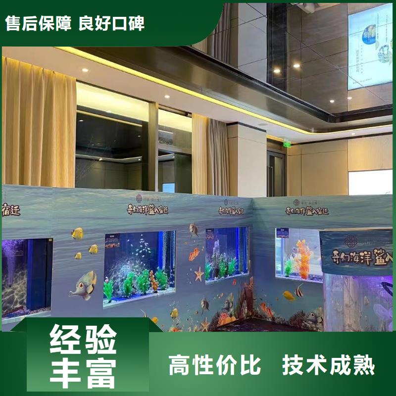 海洋主题动物表演 鹦鹉表演遵守合同