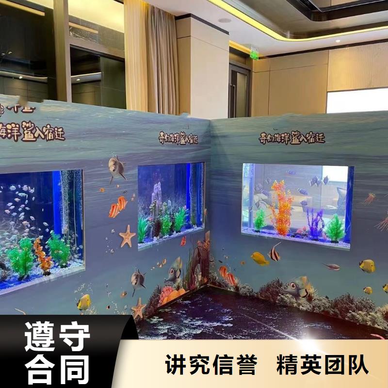 海洋主题动物表演 马戏团表演好评度高