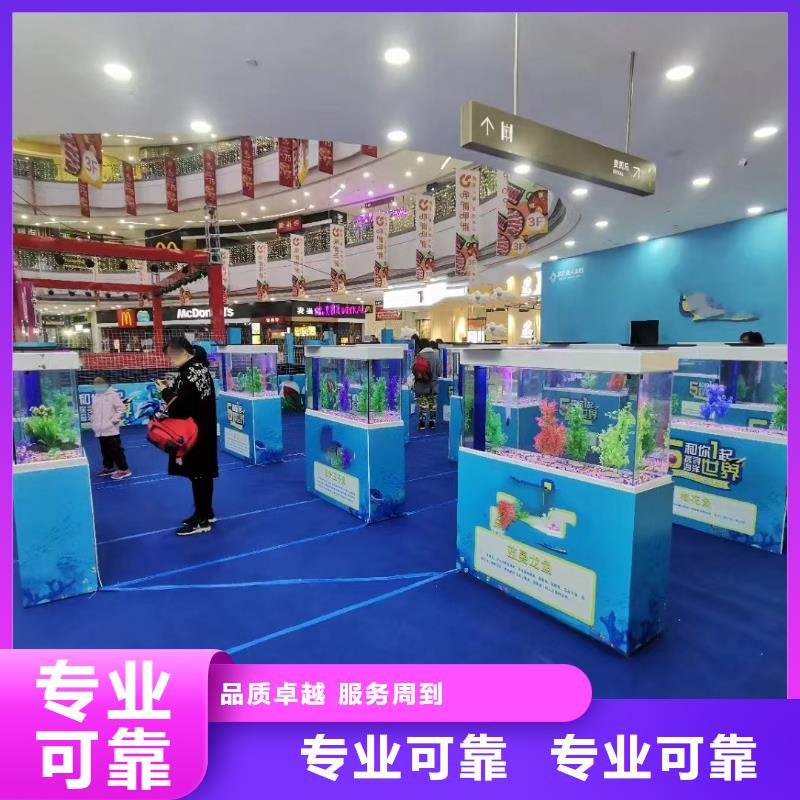 海洋主题动物表演马戏团表演讲究信誉