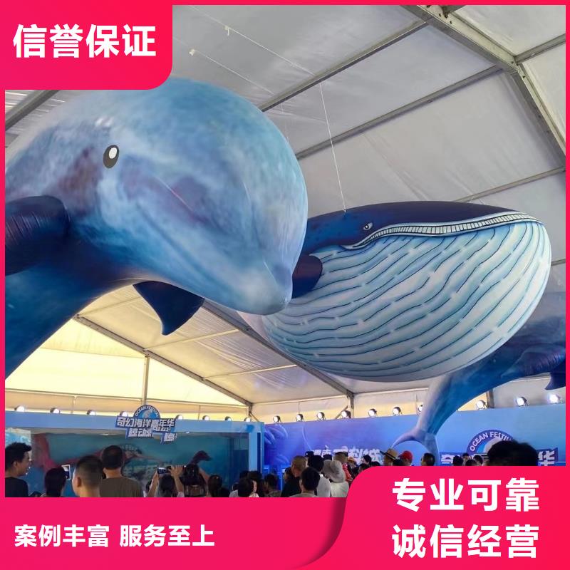 海洋主题动物表演动物表演从业经验丰富