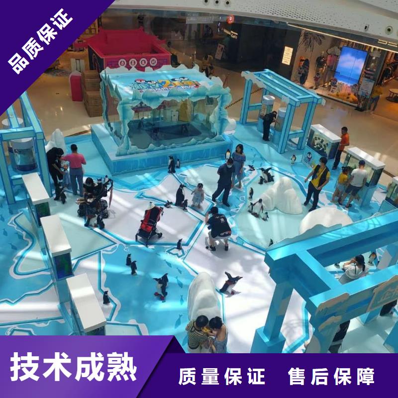 海洋主题动物表演出租企鹅质优价廉