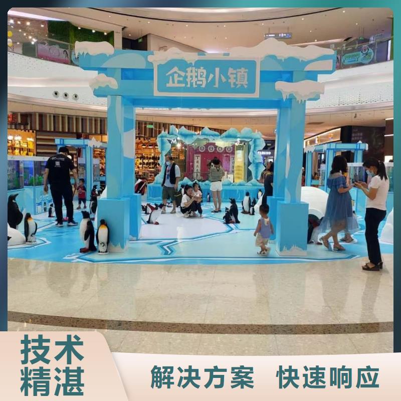 海洋主题动物表演,驯兽表演实力团队