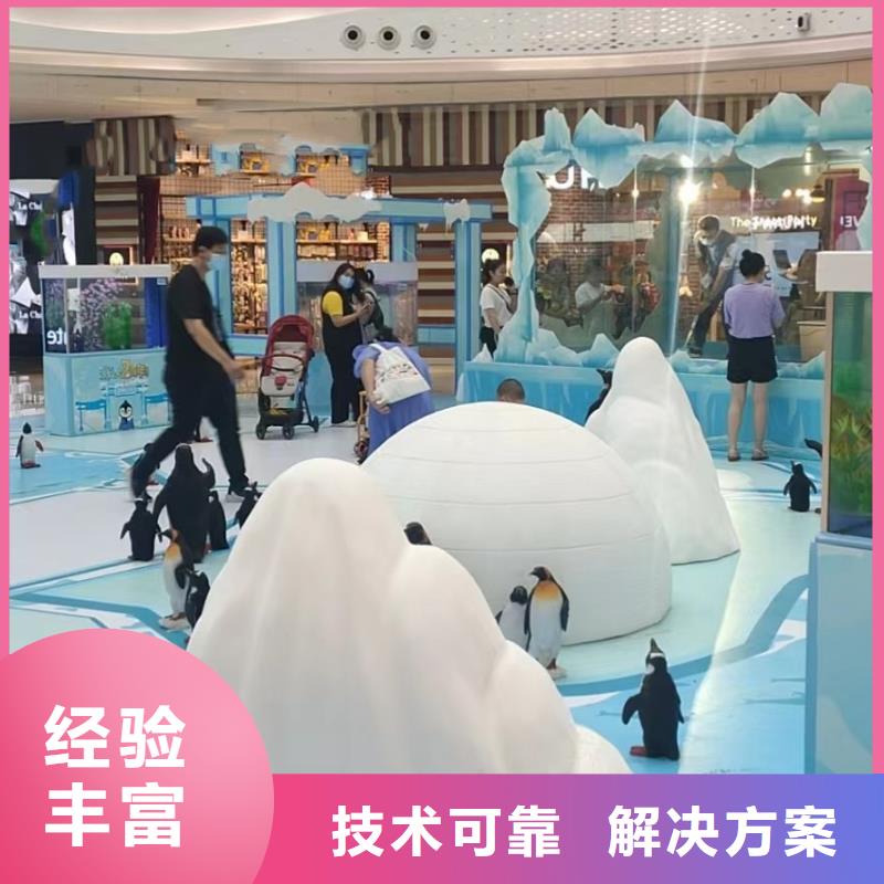 海洋主题动物表演马戏团表演欢迎合作