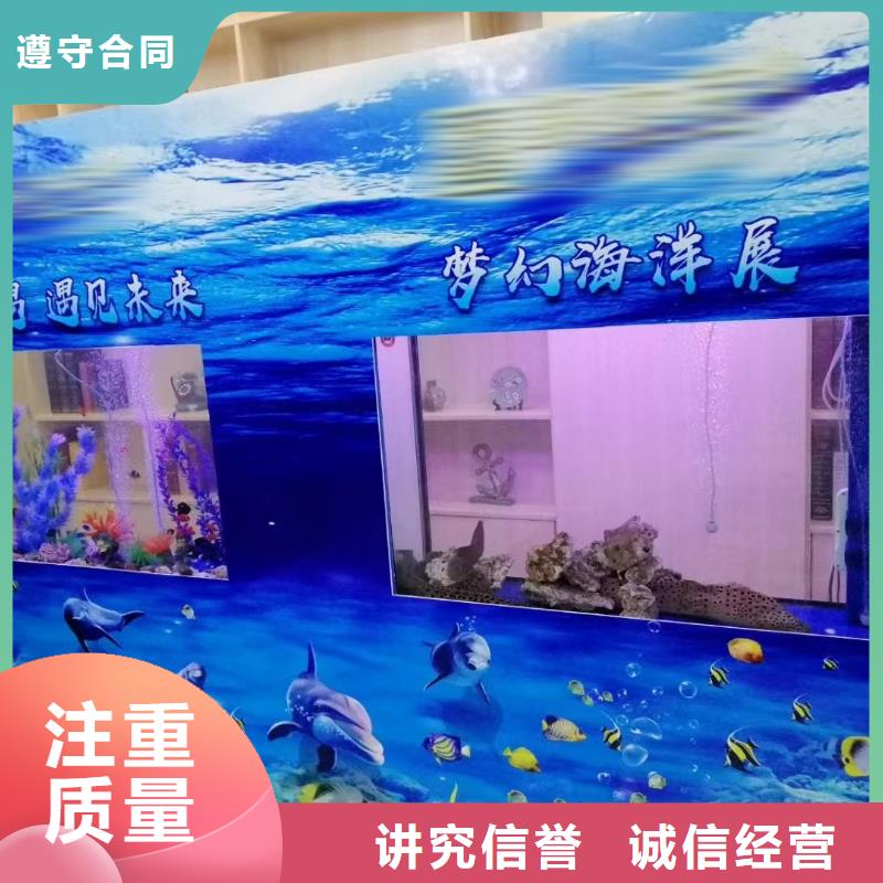 海洋主题动物表演【出租企鹅表演】靠谱商家