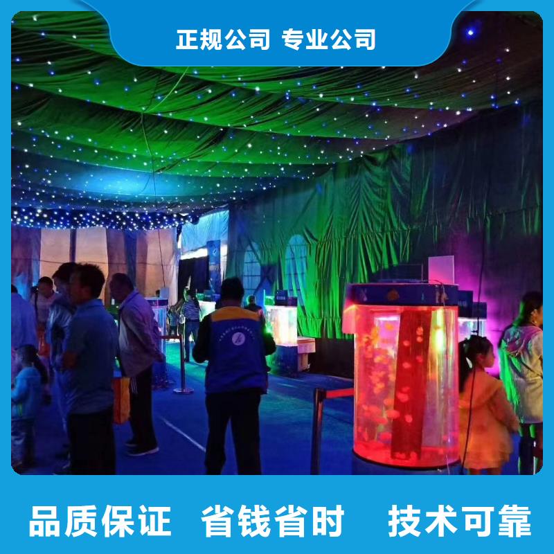 海洋主题动物表演马戏团表演欢迎合作
