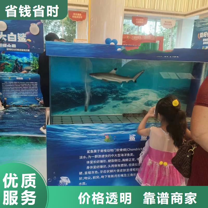 海狮表演出租