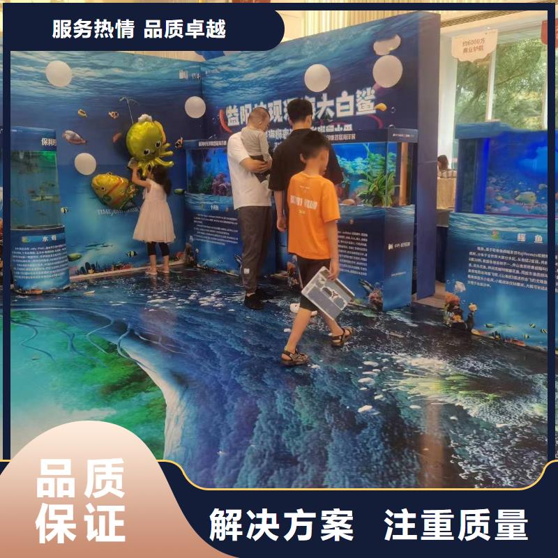 海洋主题动物表演【海狮表演租赁】讲究信誉