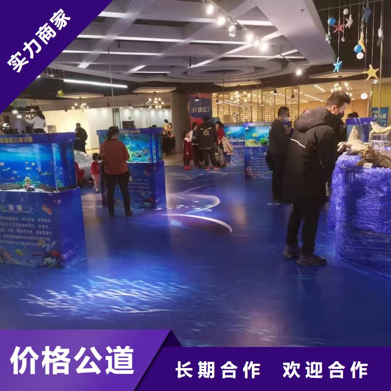 海洋主题动物表演鹦鹉表演出租比同行便宜
