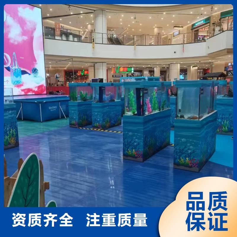 海洋主题动物表演马戏团表演讲究信誉