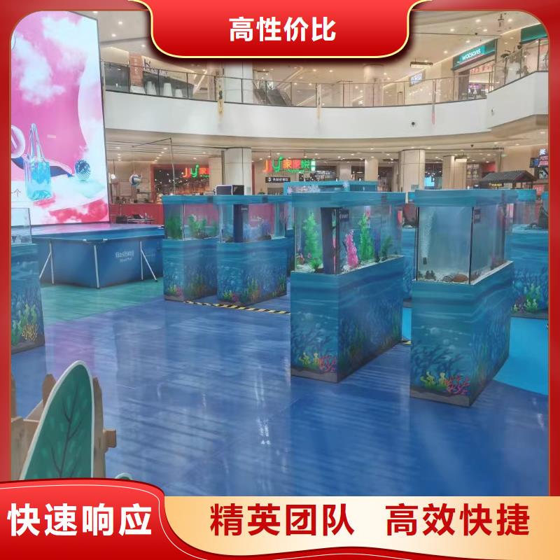 海洋主题动物表演动物表演从业经验丰富