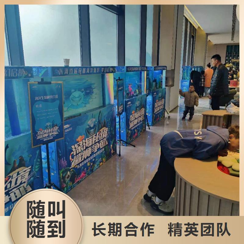海洋主题动物表演企鹅出租表演免费咨询
