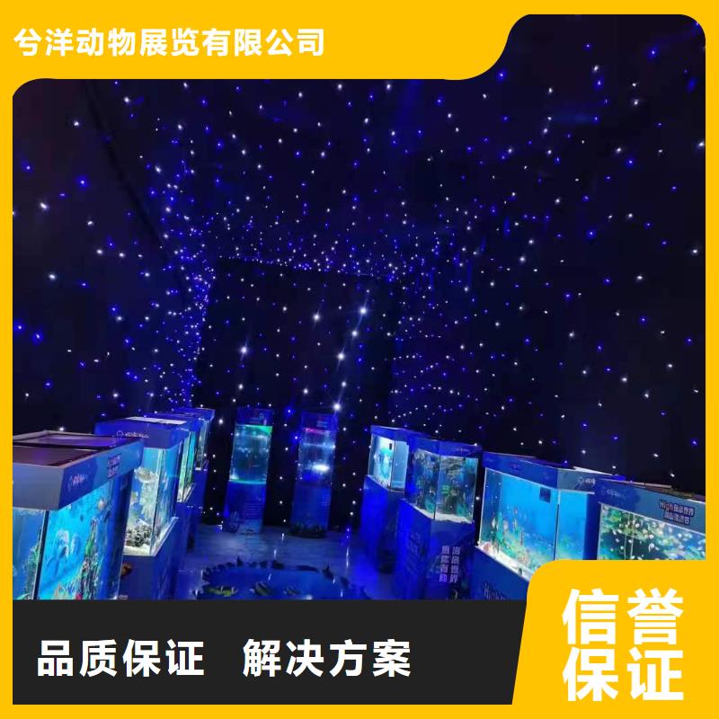 梦幻美人鱼表演出租资源丰富