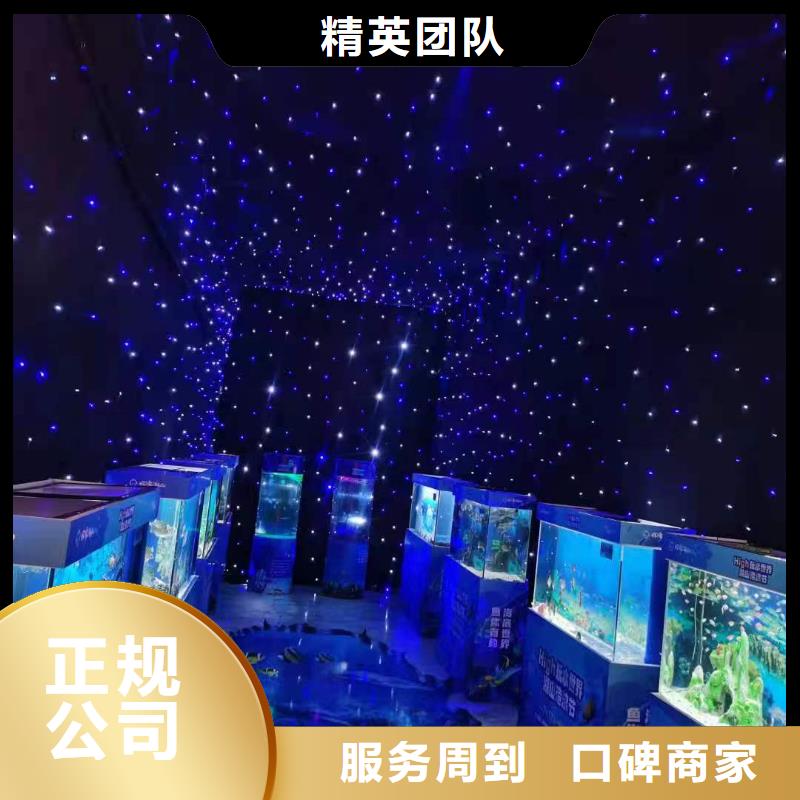 【海洋主题动物表演 出租表演企鹅匠心品质】