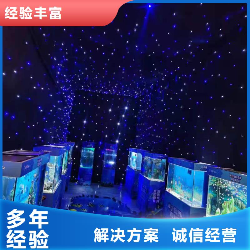 海洋主题动物表演马戏团表演口碑商家