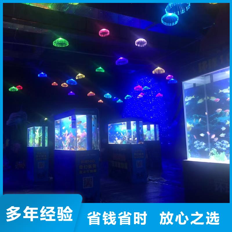 海洋主题动物表演海狮表演出租良好口碑