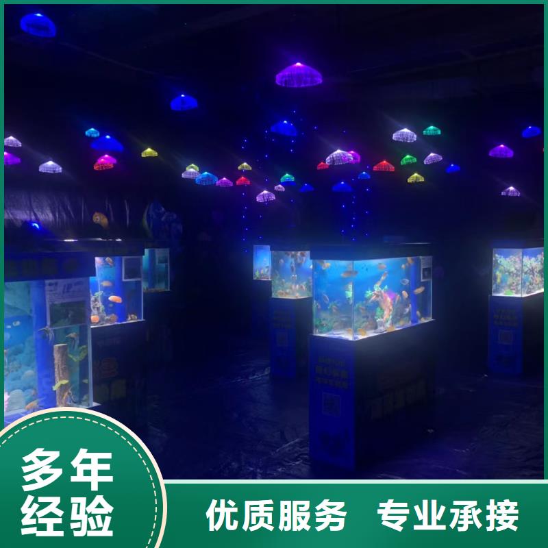 海洋主题动物表演马戏团表演讲究信誉