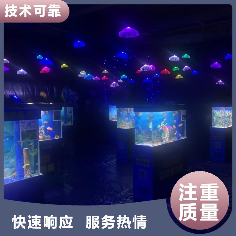 海洋主题动物表演驯兽表演24小时为您服务