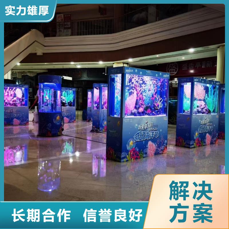 海洋主题动物表演美人鱼表演价格美丽