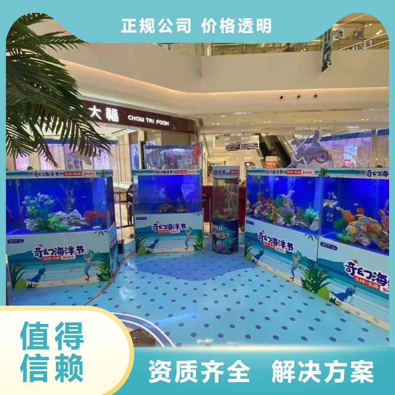 海洋主题动物表演,【房地产开盘庆典】专业可靠