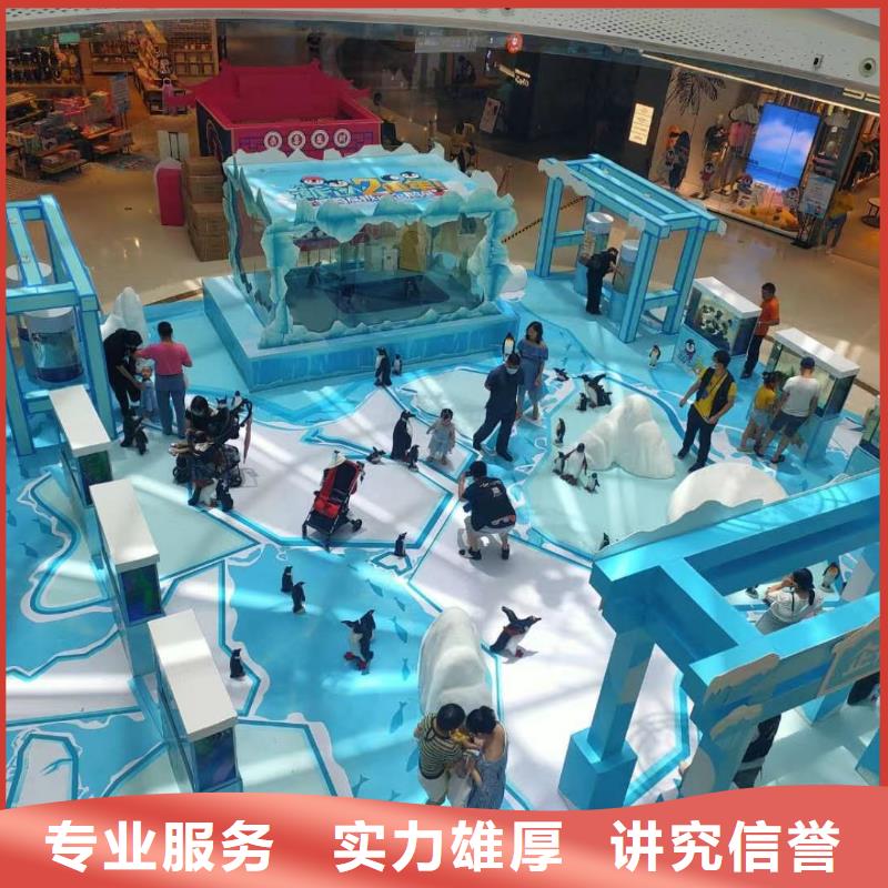 海洋主题动物表演【海狮杂技表演】省钱省时