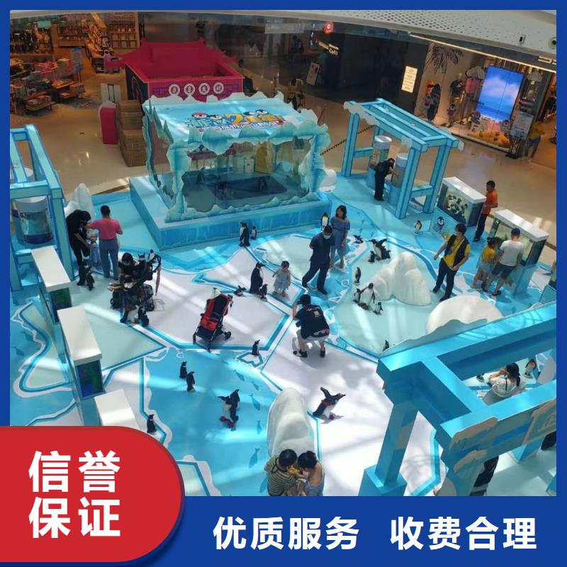 羊驼出租视频-元宝|振兴|阜新|沈阳|营口|大连|盘锦|抚顺|铁岭兮洋羊驼出租_ 兮洋动物展览(丹东市分公司)