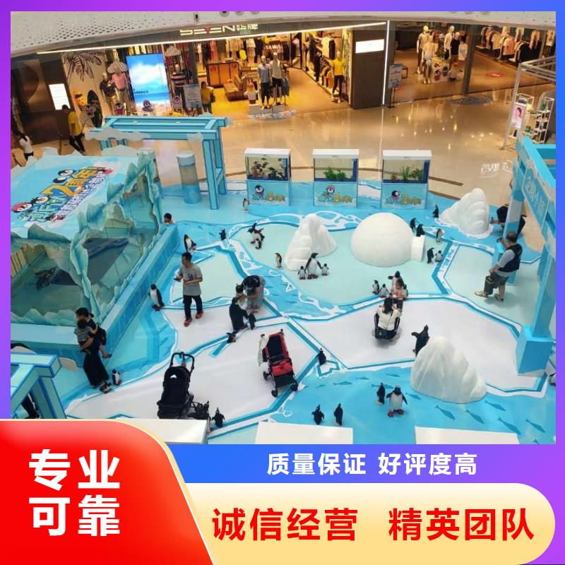 海洋主题动物表演_出租马戏表演解决方案