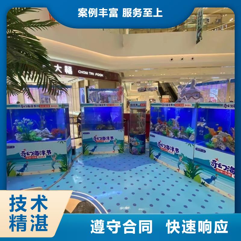 海洋主题动物表演_驯兽表演资质齐全