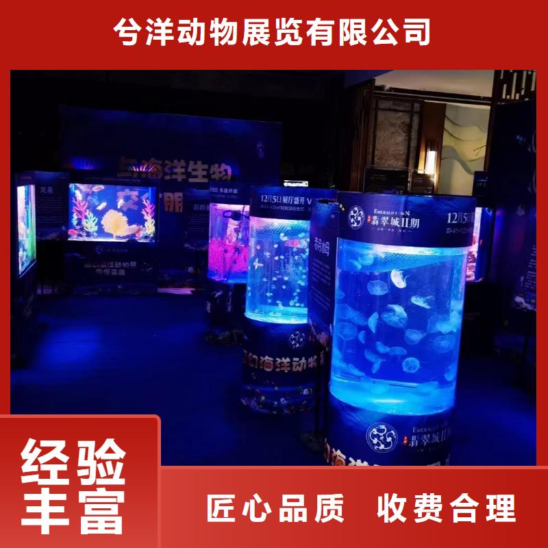 哪有出租海洋展的