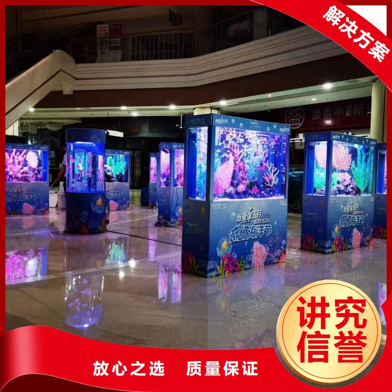 海洋主题动物表演马戏团表演欢迎合作