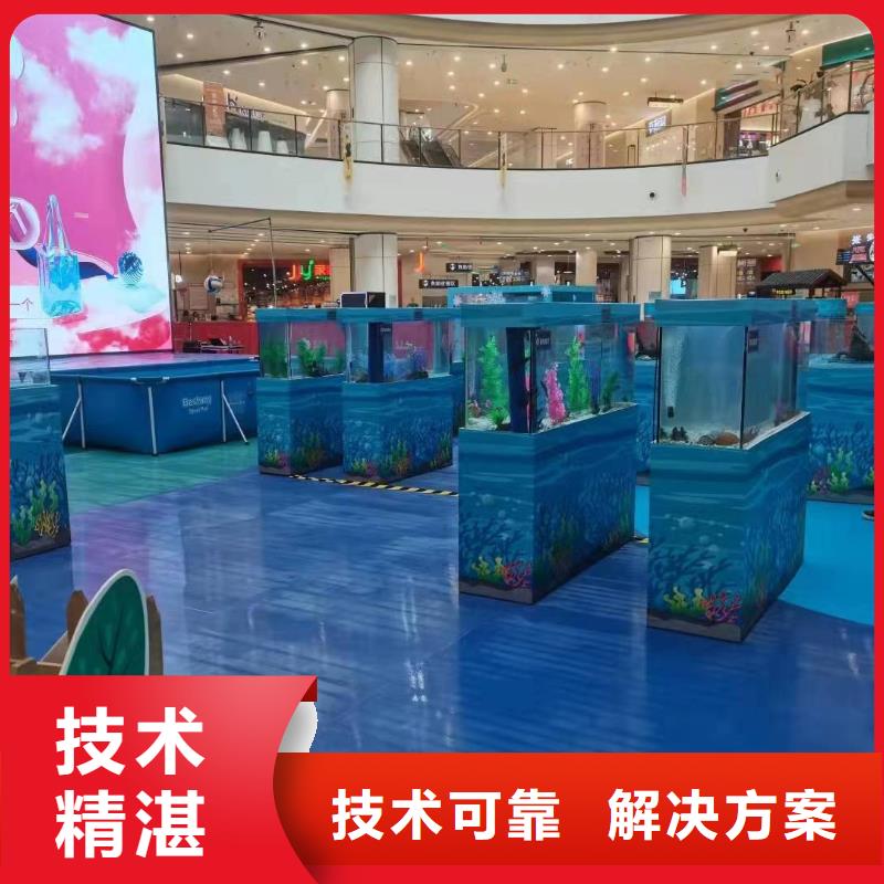海洋主题动物表演吉祥百鸟展解决方案