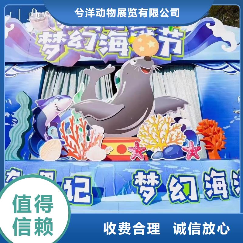 海洋生物展租赁