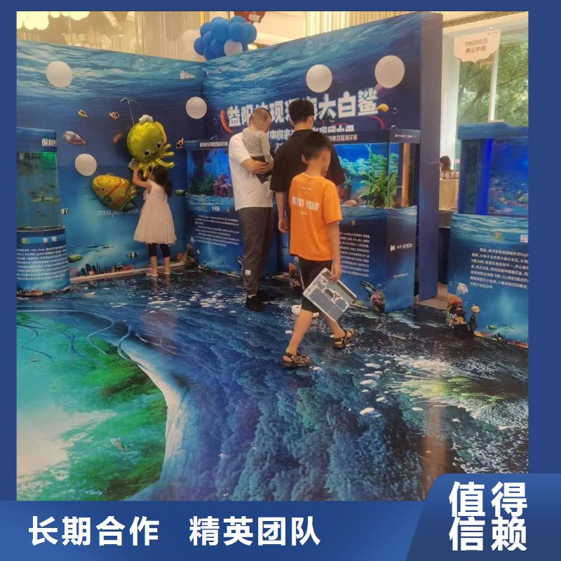 海洋主题动物表演出租企鹅质优价廉