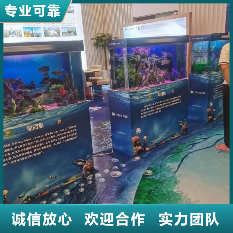 海洋主题动物表演死轮表演一站搞定