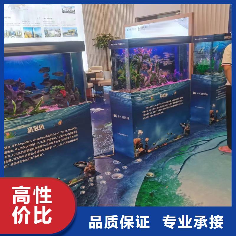 海洋主题动物表演吉祥百鸟展解决方案