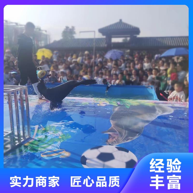 【海洋主题动物表演】 羊驼出租诚信经营