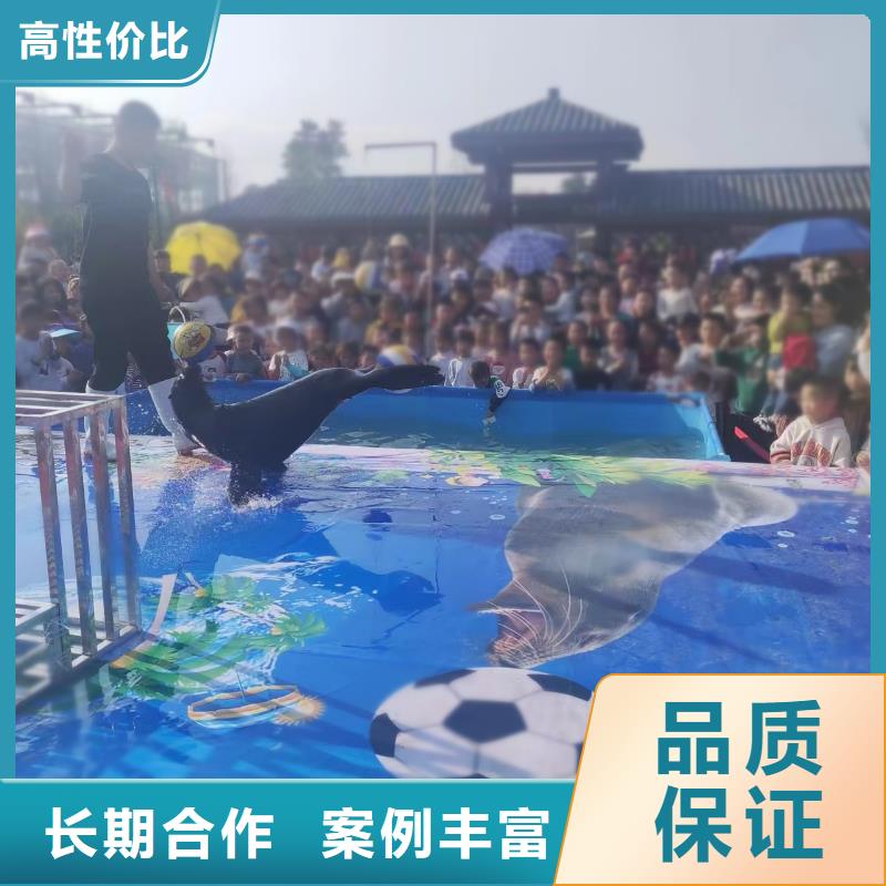 海洋主题动物表演【海狮杂技表演】省钱省时