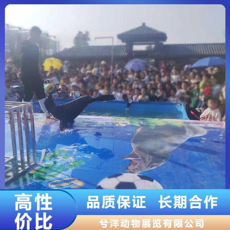 海洋主题动物表演海洋展租赁专业服务