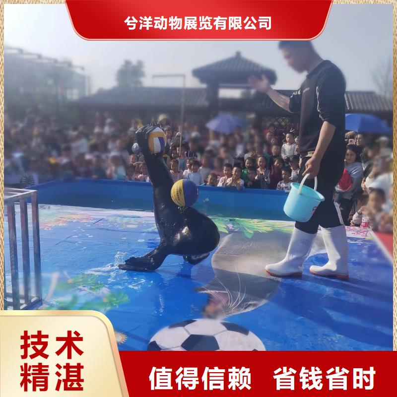 海洋主题动物表演【租赁美人鱼表演】齐全