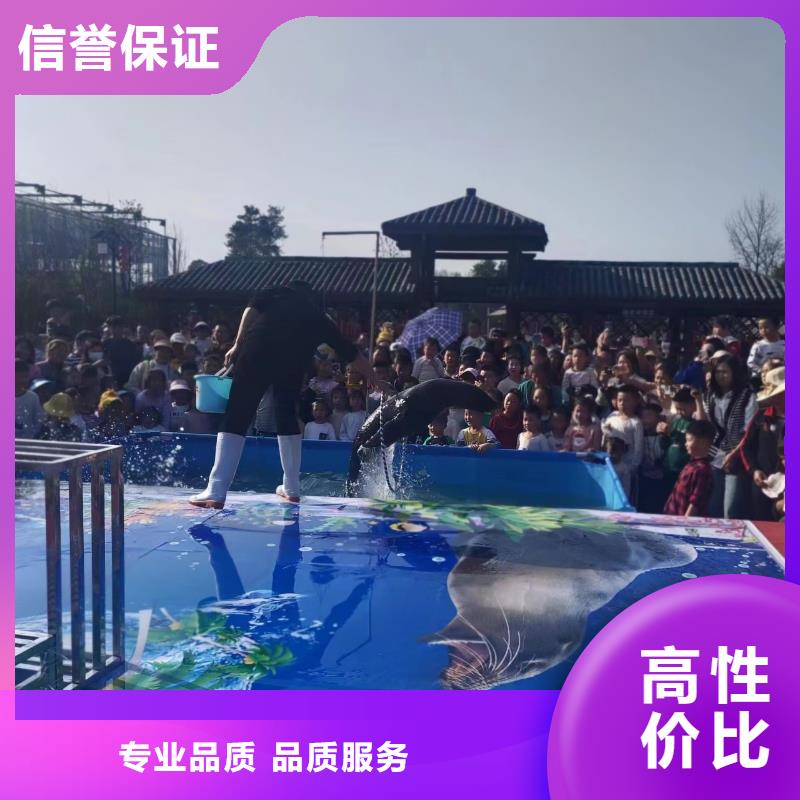 羊驼出租视频-河南省信阳市兮洋羊驼出租可服务区域光山|息县|安阳|洛阳|郑州|商丘|南阳等