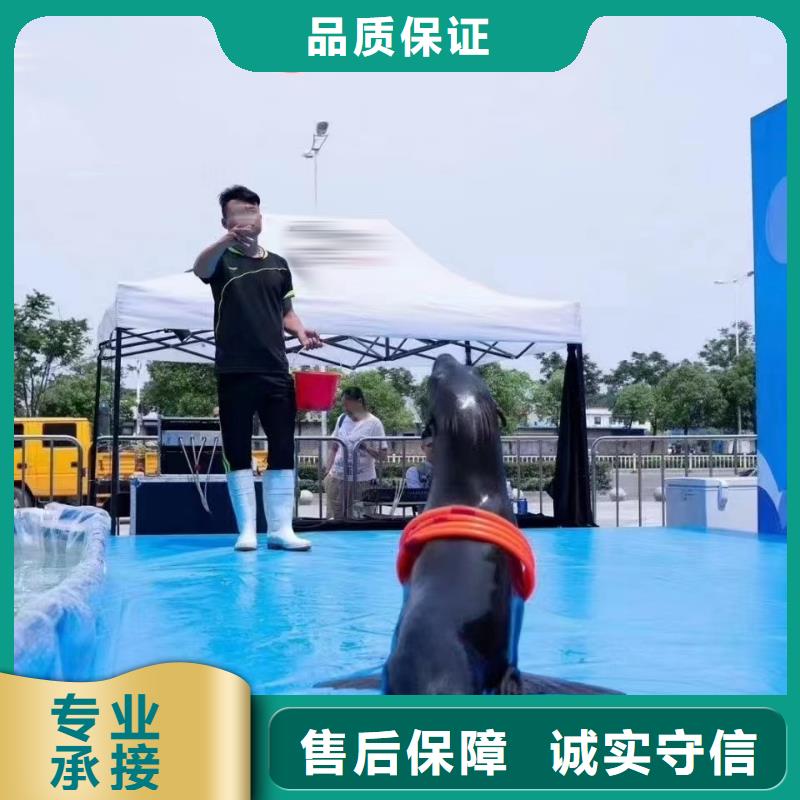 海洋主题动物表演-【美人鱼表演出租】一站搞定