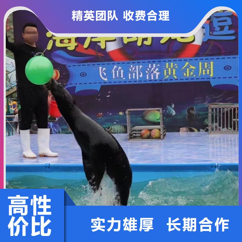 海洋主题动物表演出租动物表演