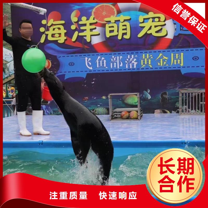 海狮表演出租
